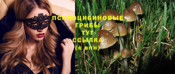 амф Коряжма
