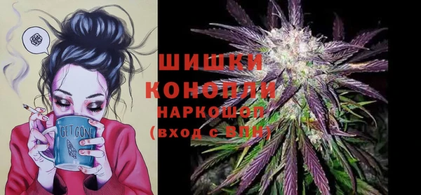 амф Коряжма