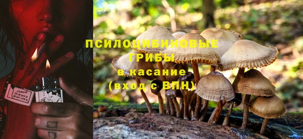 дмт Костерёво