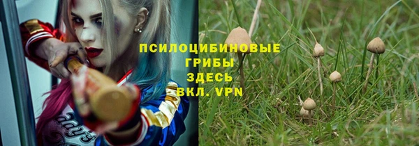амф Коряжма