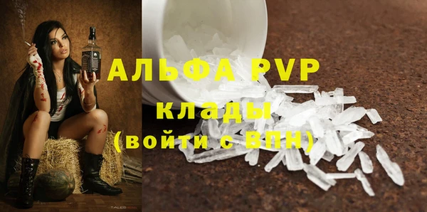 дмт Костерёво
