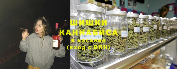 амф Коряжма