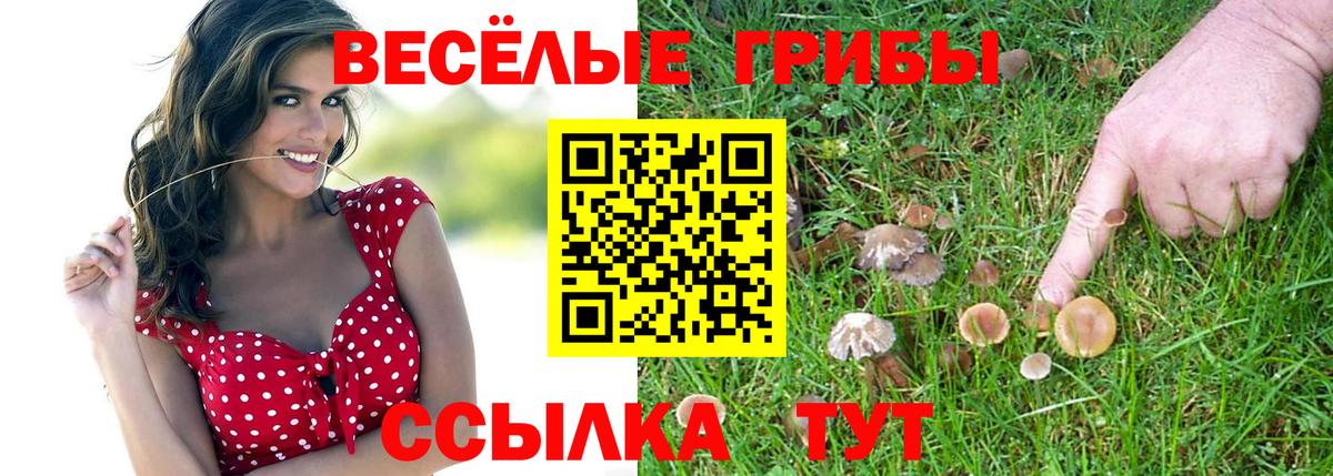 Псилоцибиновые грибы мухоморы  Вход с VPN  Чистополь  Псилоцибиновые грибы ЛСД 