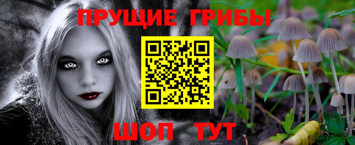 Псилоцибиновые грибы прущие грибы Чистополь