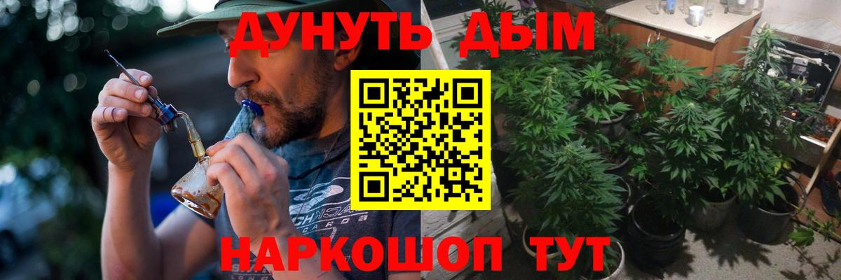 Шишки марихуана Bruce Banner Чистополь